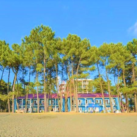 Evrika Hotel Shekvetili 外观 照片