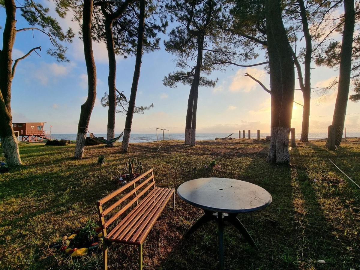 Evrika Hotel Shekvetili 外观 照片