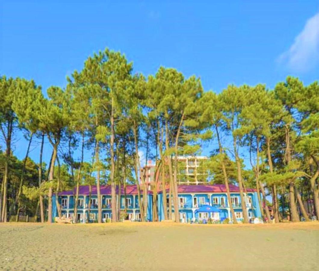 Evrika Hotel Shekvetili 外观 照片