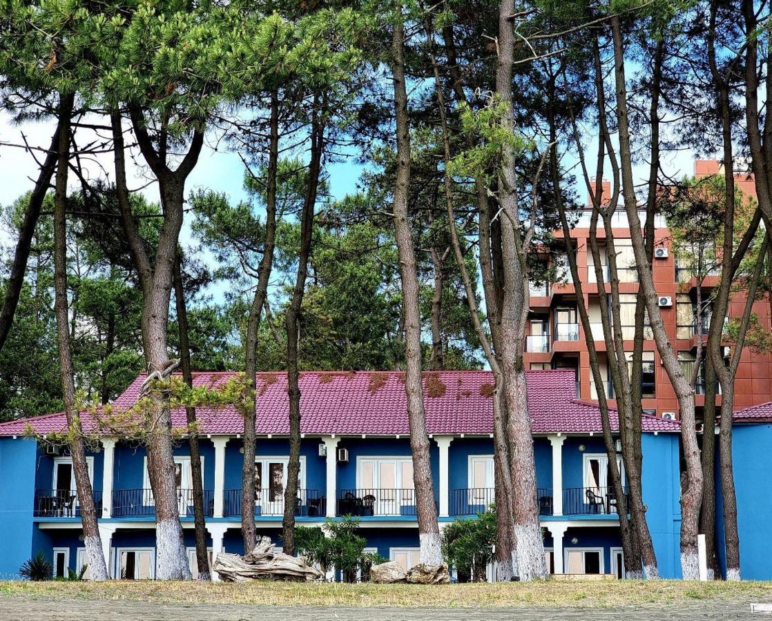 Evrika Hotel Shekvetili 外观 照片